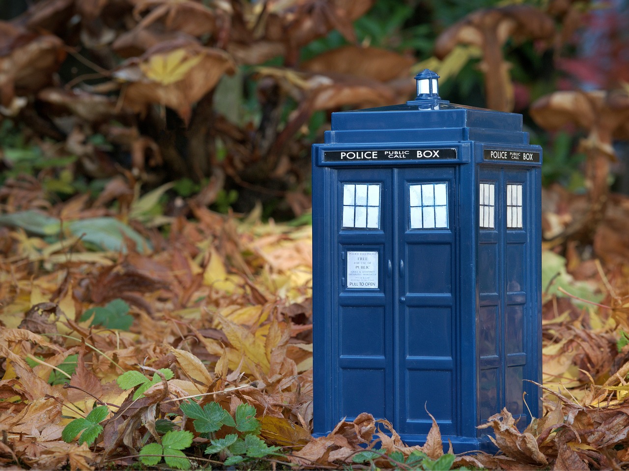 tardis, dr who, doctor who