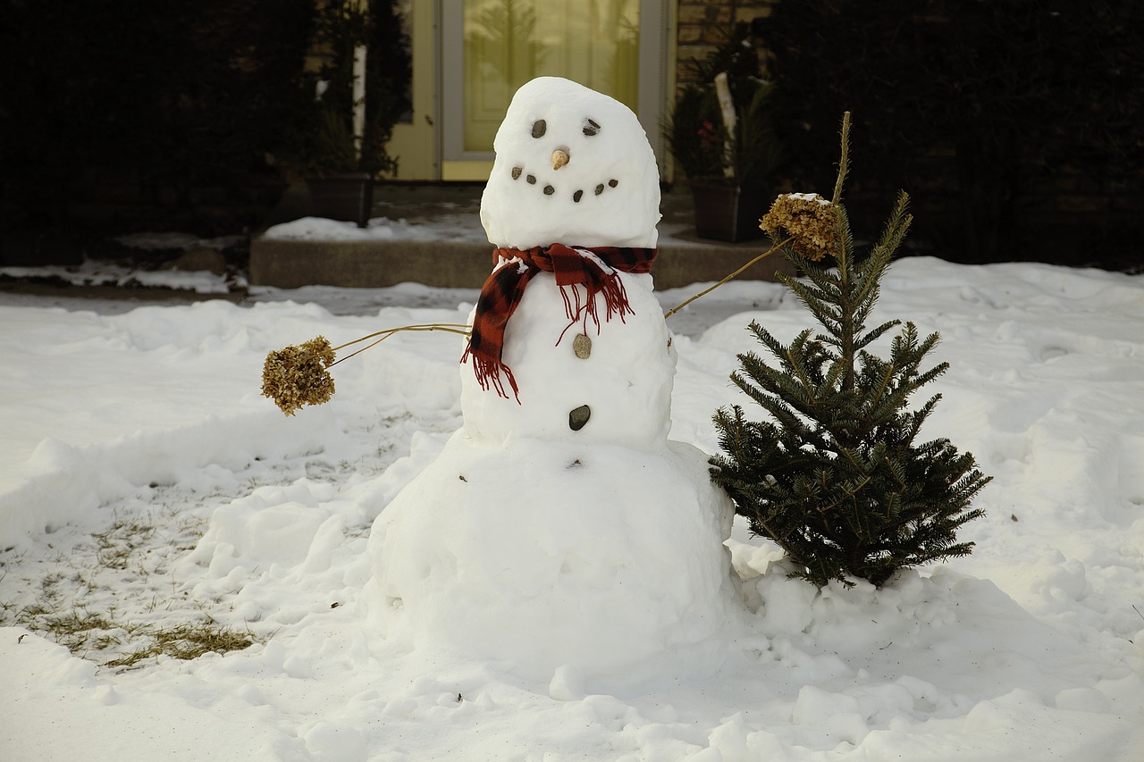 snowman, snow, white-1139260.jpg