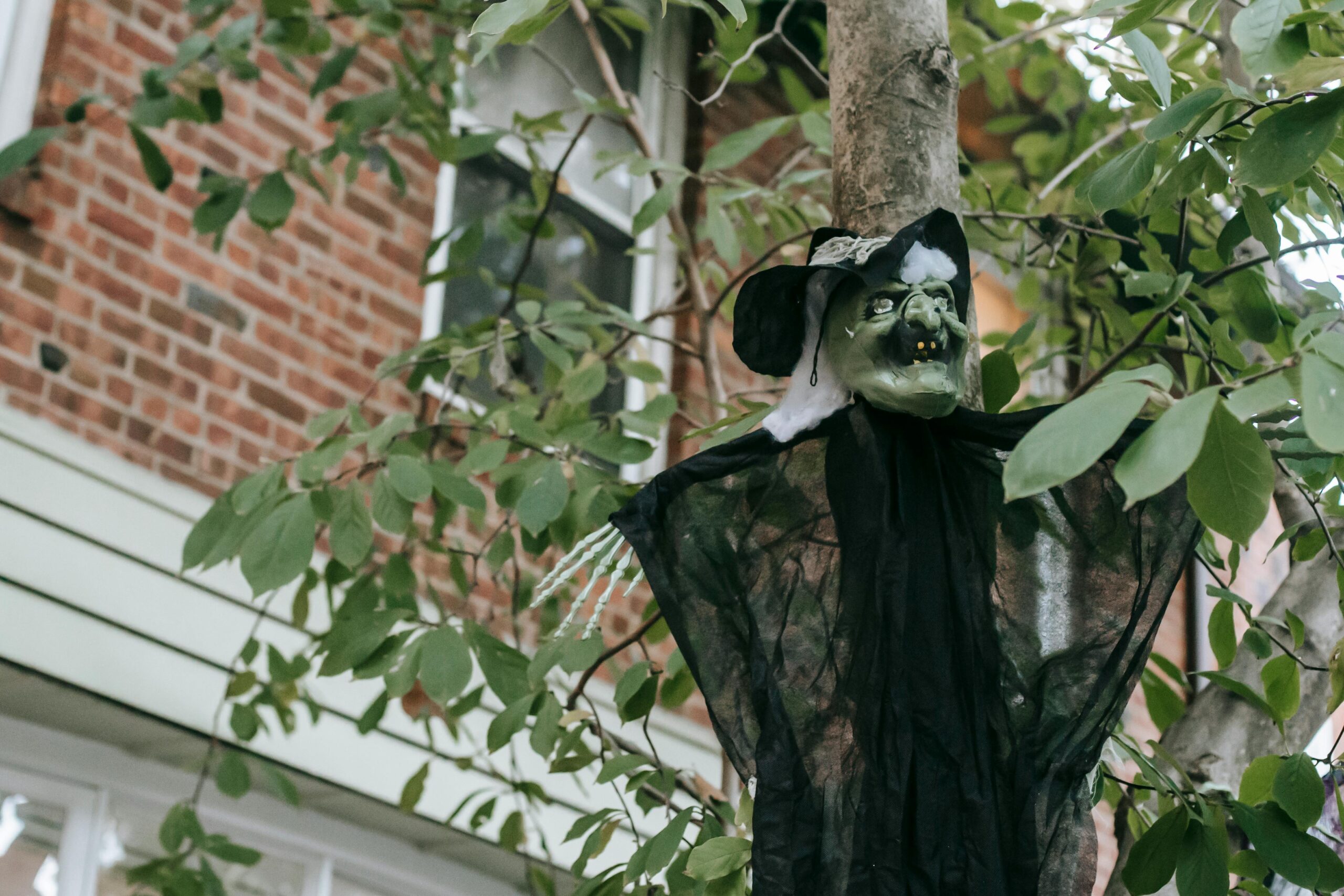 A creepy witch decoration hanging from a tree, perfect for outdoor Halloween setups.